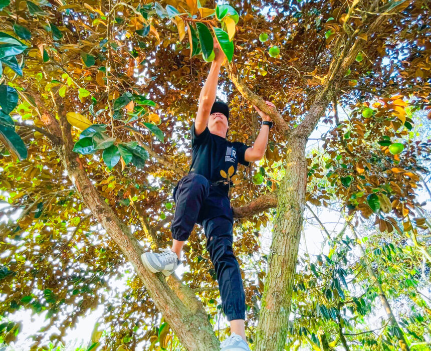 z7422042430679_f96a926e2898fb75d62812def8da4eaa