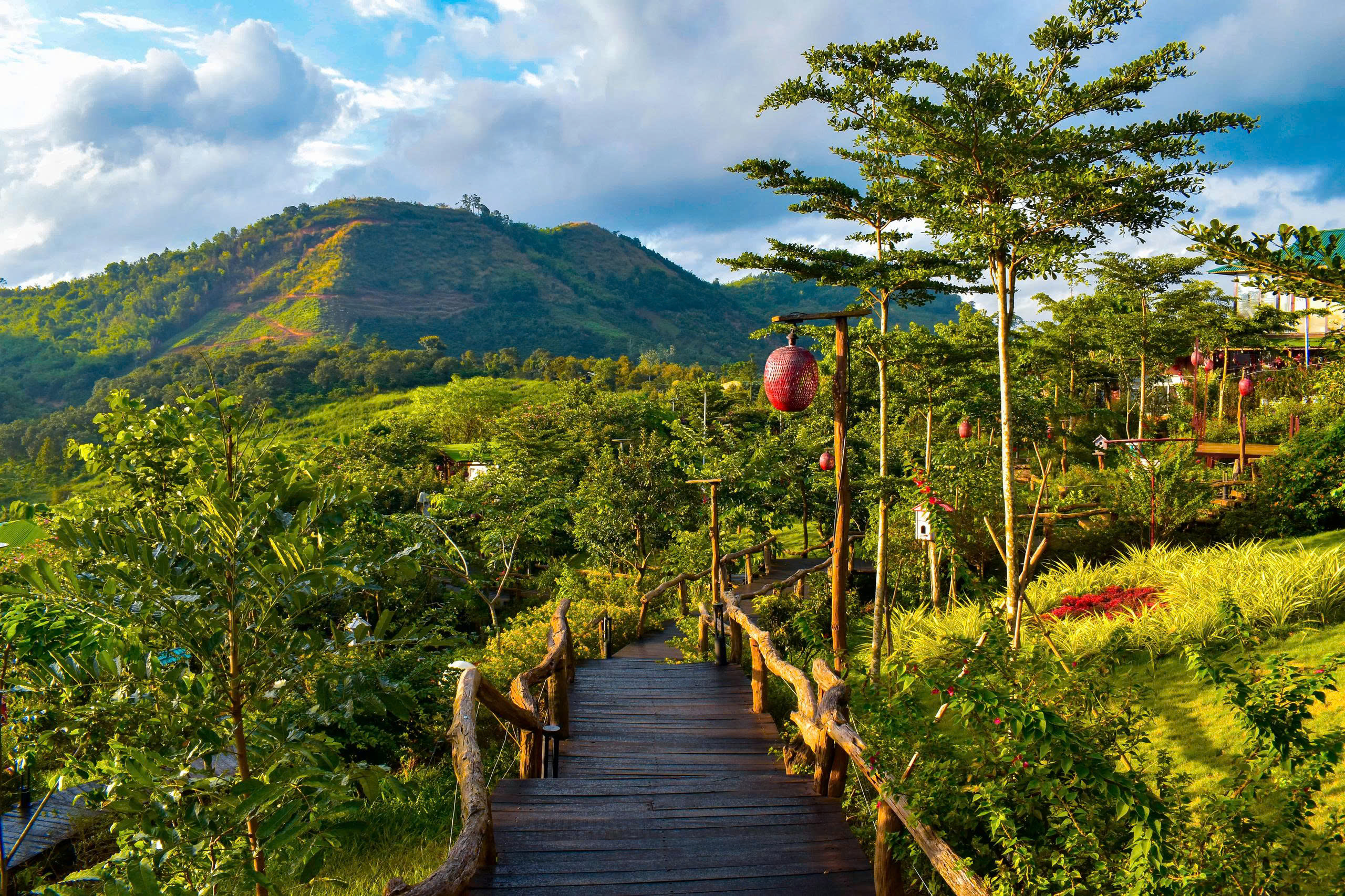 z6790781712823_38ed2d3159780ac89dbf8d7575b33d2f